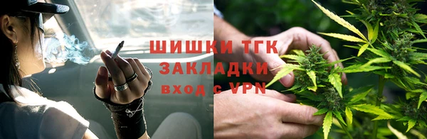 крисы Новозыбков