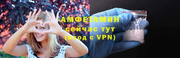крисы Новозыбков