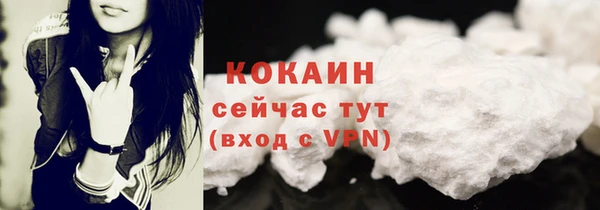 крисы Новозыбков