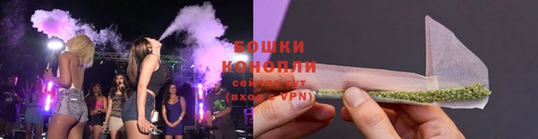 бошки Новодвинск