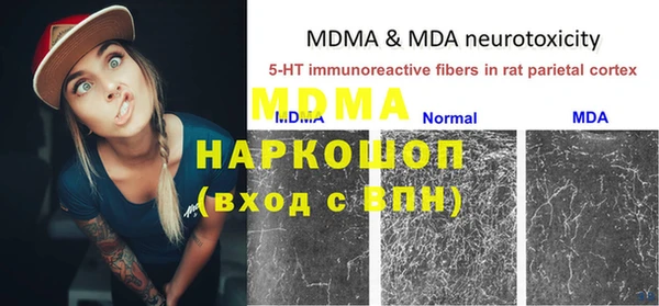 крисы Новозыбков