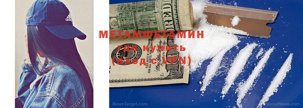 крисы Новозыбков