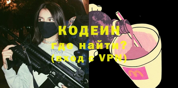 крисы Новозыбков