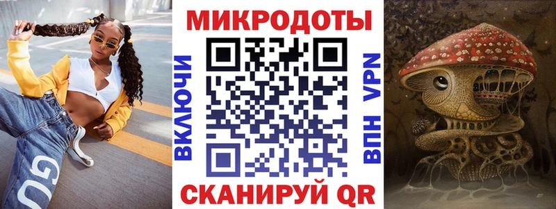 Купить закладки  Каспийск  Псилоцибиновые грибы MAGIC MUSHROOMS 